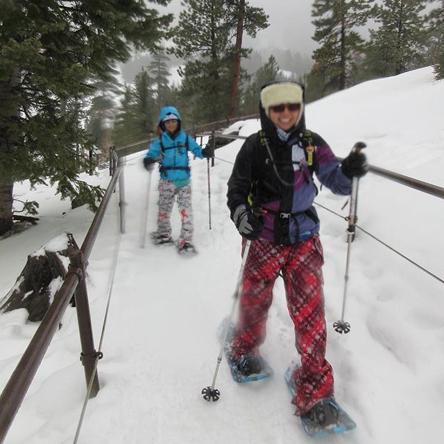 Out of the woods & back on groomed path. We were soaked. I was visualising my warm & dry car only 1mi away lol. Also, chewing whole nuun tablets was deelish. Photo cred: Sarah G. #nuunlife #recoveryhike #ultratraining #racewithbase #leecanyon #beyondvegas #snowshoes #elevationtraining [instagram]