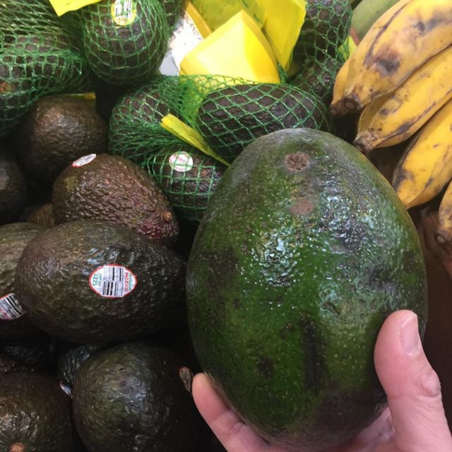 This is not just an avocado. This is an AVOcado! #whoa #floridaavocado #isthisgmo #asianmarketfinds [instagram]