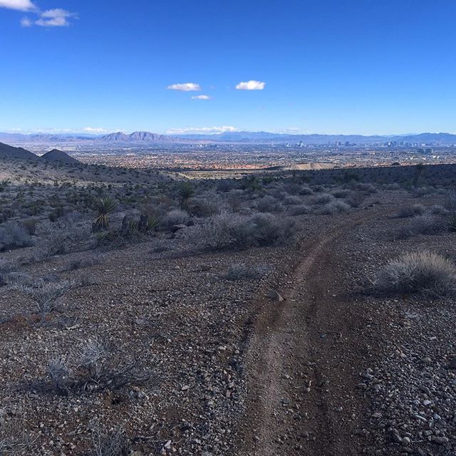 I've ran this several times this season & can't get tired of this view. It's a gradual 6mi uphill but gorgeous downhill. Can't wait to take a few more this weekend to see this trail! #trailjunkie #trailrunning #nuunlife #stayhydrated #trailrunningvegas #taur #ultratraining [instagram]