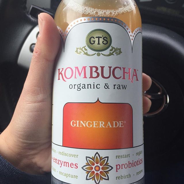 Mmmmm. Yummy. 🤣 #kombucha #probiotics #ginger [instagram]