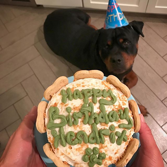 Belated happy birfday to my dog nephew! He's now officially an adult. He celebrates on Valentine's Day & is a big #kissing #teddybear :) Sis & bro sent me this photo of his cake. lol #rottweiler #rottweilersofinstagram [instagram]