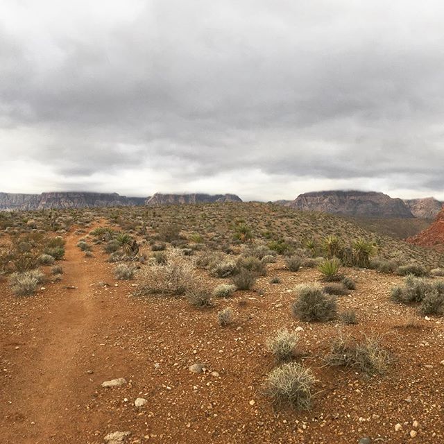 The ground was squishy thanks to the recent rain & the clouds lingered over the Red Rock mountains! What a gorgeous Monday morning with #trailrunning friends! #nuunlife #ar50mile #ultratraining #taur #racewithbase #baseperformance #trailrunningvegas #trailjunkie [instagram]