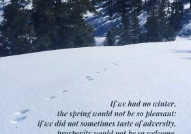 The same goes for cruddy training runs/swims/bike rides as it makes you appreciate all the awesome ones.  #nuunlife #elevationtraining #ultratraining #baseperformance #motivationalquotes #instaquote [instagram]