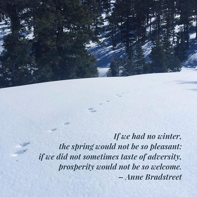 The same goes for cruddy training runs/swims/bike rides as it makes you appreciate all the awesome ones.  #nuunlife #elevationtraining #ultratraining #baseperformance #motivationalquotes #instaquote [instagram]