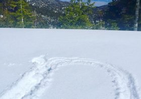 Chewed my fav Lemon Tea #nuunhydration & introduced #nuunlove to friends. When they asked where to get it, I told them there were other flavours cos that was discontinued! …or will it make a return, @nuunhydration? 🏽 #nuunlife #snowshoeing #crosstraining #ultratraining #elevationtraining [instagram]