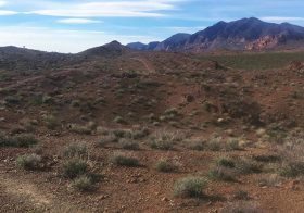 Single tracks in Sloan Canyon. Gorgeous view of yesterday's trail race by @tripledareruns ! Had an amazing time esp. at mile 10 & finish! ;) Amargosa switchbacks, not so much. :P #trailjunkie #nuunlife #trailrunningvegas #singletrack #trailrunning #baseperformance #ar50 #ultratraining #heattraining [instagram]
