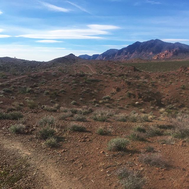 Single tracks in Sloan Canyon. Gorgeous view of yesterday's trail race by @tripledareruns ! Had an amazing time esp. at mile 10 & finish! ;) Amargosa switchbacks, not so much. :P #trailjunkie #nuunlife #trailrunningvegas #singletrack #trailrunning #baseperformance #ar50 #ultratraining #heattraining [instagram]