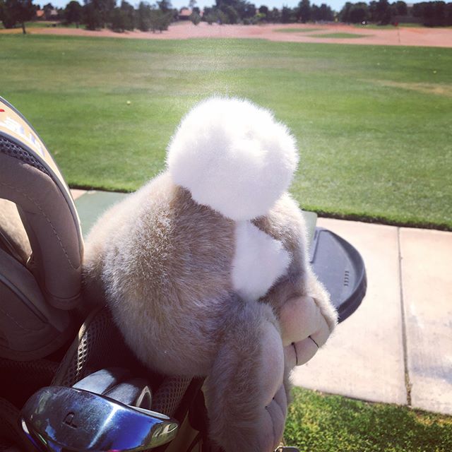 Lil brudder & I dusted off our clubs & hit the driving range today. Thankfully, other than this old USGA rule book, there weren't any mouldy items left deep in the pockets.  #instagolf #desertgolf #lasvegasgolf #usga [instagram]