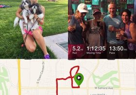 How to make Sierra run slower in 100° weather. Puppies. Make her pose with puppies! ;) #nuunlife #heattraining #tripledigits #roadrunning [instagram]