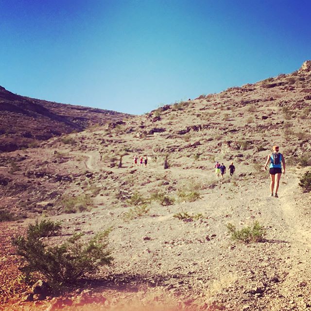New trails, yummy potluck, mimosas & a fun time at the #trailjunkie ambassador party yesterday. Thanks @roberekson & @desertdashtrailraces for hosting! #trailrunning #trailrunningvegas #altrarunning #taur [instagram]