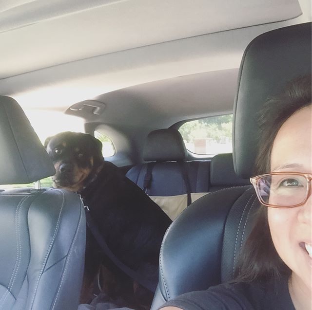 Burrito run with the boys! Drive thru at Albertacos lol. [instagram]