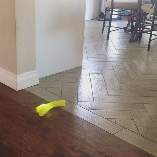 Rest in peace noisemaker chew toy. Lol you had a brief life (2:00pm-6:00pm) making that sound to annoy the boys.Then Hendrix figured you out and ripped out your innards. #itwasonsale [instagram]