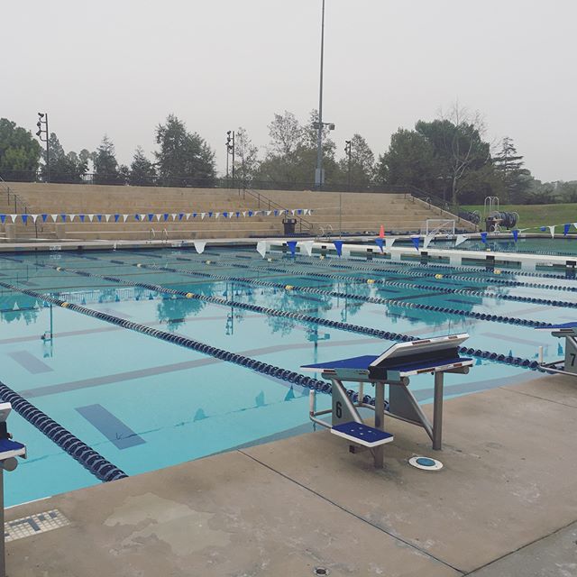 How I spent my Sunday morning? Stepped into Asst Coach shoes to USMS' Lead Coach Bill Brenner & Award-winning Coach Cokie Lepinski. Such a great experience! We rotated so I got to help 8 swimmers through all 4 strokes (well, plus one: the streamline 😎🏽) [instagram]