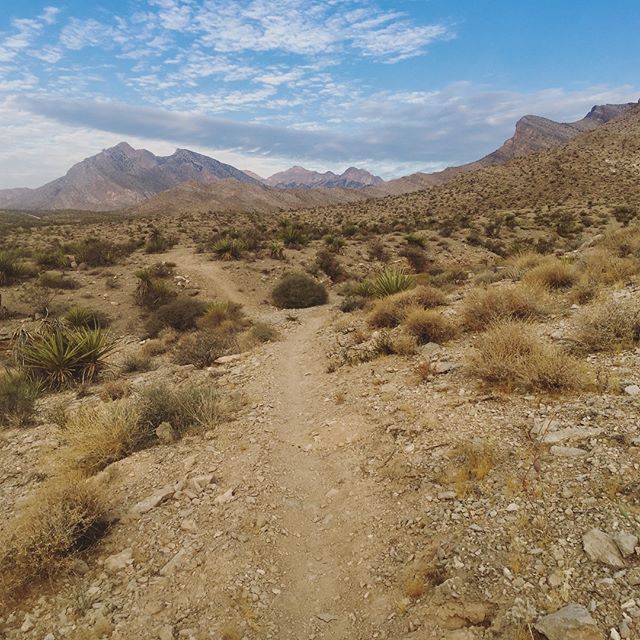 I'm grateful for Mondays because I get to run trails w/ these beautiful people! And yesterday, I finally sampled @troydle #SacredKefirCo water kefir. Sooo good! [instagram]