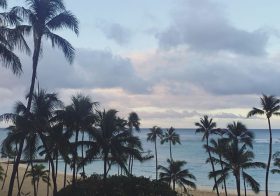 Good morning from paradise [instagram]