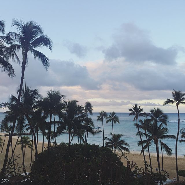 Good morning from paradise [instagram]