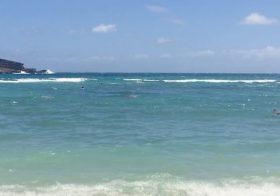 Lunchtime snorkeling? Yes, please. [instagram]
