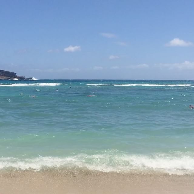 Lunchtime snorkeling? Yes, please. [instagram]