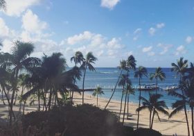 Aloha! Competition day. 😎 [instagram]