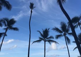 Aloha! Good morning from Waikiki… for the last time [instagram]