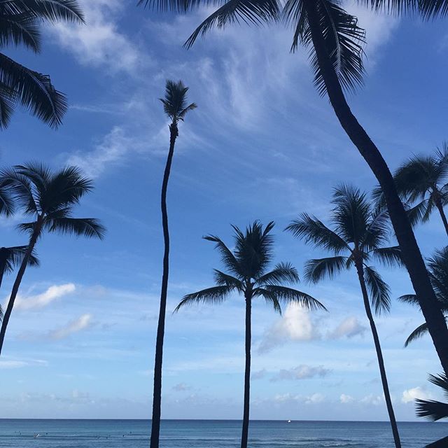 Aloha! Good morning from Waikiki... for the last time [instagram]