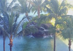 Aloha! A lagoon view for you this morning. [instagram]