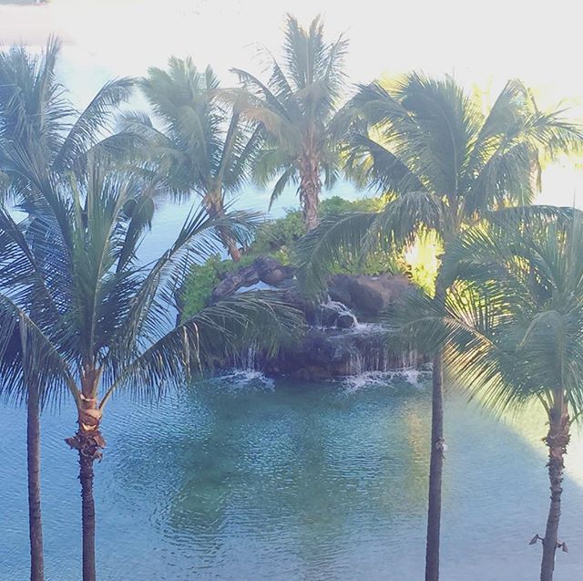 Aloha! A lagoon view for you this morning. [instagram]