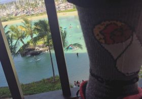 A week ago today. My burrito socks & I are sorely missing Hawai'i! #hutchsbicyclegarage #islandfever [instagram]
