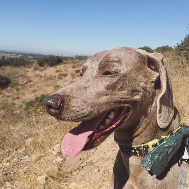 Run. Shop. Pass out. Lol [instagram]