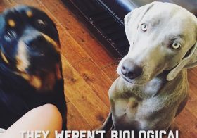 …and I wasn't their biological auntie. #tbt [instagram]