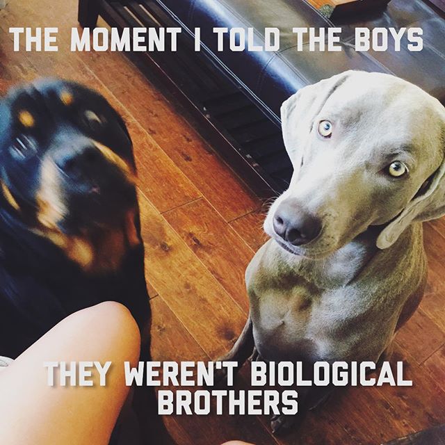 ...and I wasn't their biological auntie. #tbt [instagram]