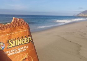 I’m dreaming of the ocean again… I had a Honey Stinger waffle last Sunday with this view! #hshive #stingorbeestung [instagram]