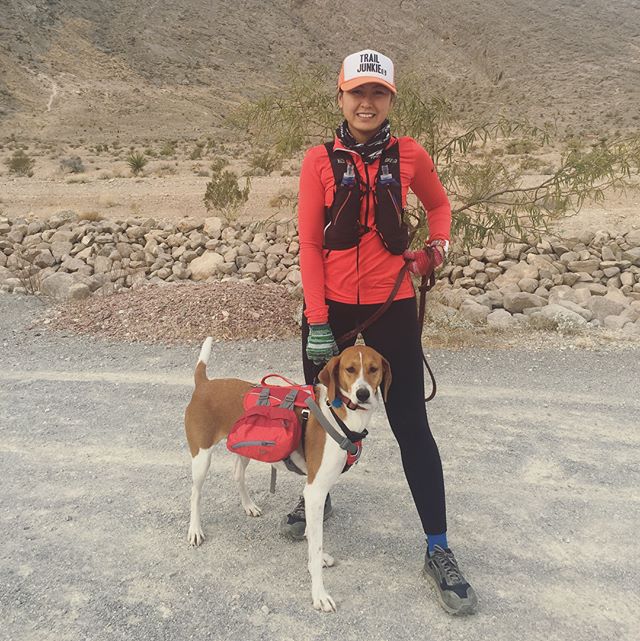 Boxing Day trail run at Cliff Shadows with sisypoo & her furgirl Ella. We went on parts of Toque, Big Horn Spur & Middle Earth. #trailrunningvegas #ultrarunners [instagram]