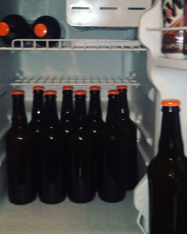 Dreams do come true. My special water kefir fridge.  (Technically, it’s my bro’s mini-fridge, but I’m older than him, so I borrowed it.) #sacredkefirco #waterkefir [instagram]