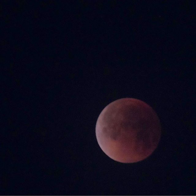 Super blue blood moon! Photo cred: My pops. Lol thanks for waking up early, Dad! #bloodmoon [instagram]