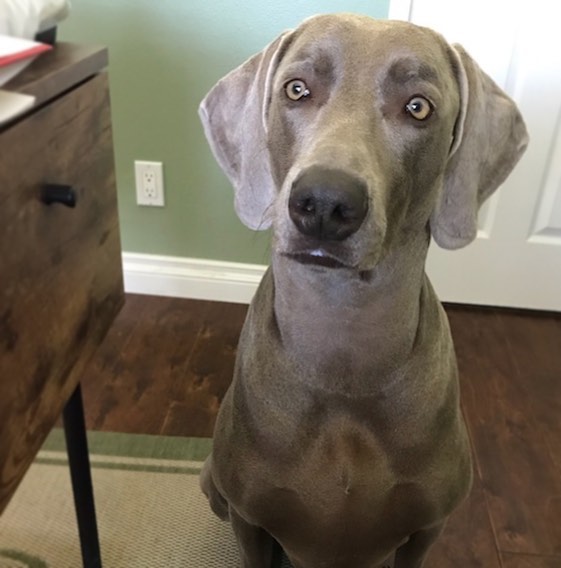 When you’re chatting with a friend, but then you start thinking about food... [instagram]