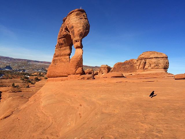 #tbt to my first ever visit to Arches Nat’l Park last Sunday. This was a different angle of the Delicate Arch. [instagram]