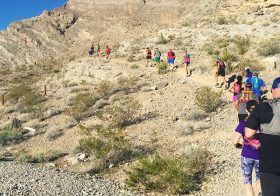 Yesterday’s adventures started w/ a sweeping a group 10-miler to LRR, quick change, lunch, & then some Spring Cleaning at @desertdashtrailraces storage, followed by a delicious burrito, short rest, then some midnight loopy loops at Lone Mountain! #epictraining #ultratraining #trailrunningvegas [instagram]