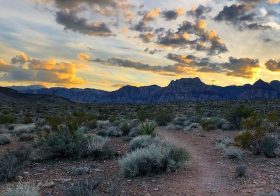 Last night’s view from @rebeccarunstrailsultrapodcast group run! Oh how I’ve missed Calico Basin. 🏽🦊 [instagram]