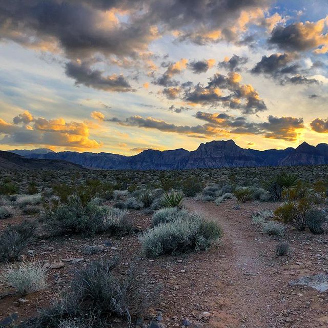 Last night’s view from @rebeccarunstrailsultrapodcast group run! Oh how I’ve missed Calico Basin. 🏽🦊 [instagram]
