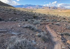 Singletrack on two wheels, whaaa?! Great fun riding with @thisdirtlife , Jen & the gents from @lasvegas.cyclery . I only ate it twice. I’ll spare you the trail rash photos lol (or just check Strava). #butdidyoudie [instagram]