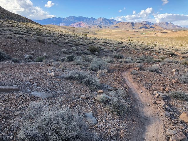 Singletrack on two wheels, whaaa?! Great fun riding with @thisdirtlife , Jen & the gents from @lasvegas.cyclery . I only ate it twice. I’ll spare you the trail rash photos lol (or just check Strava). #butdidyoudie [instagram]
