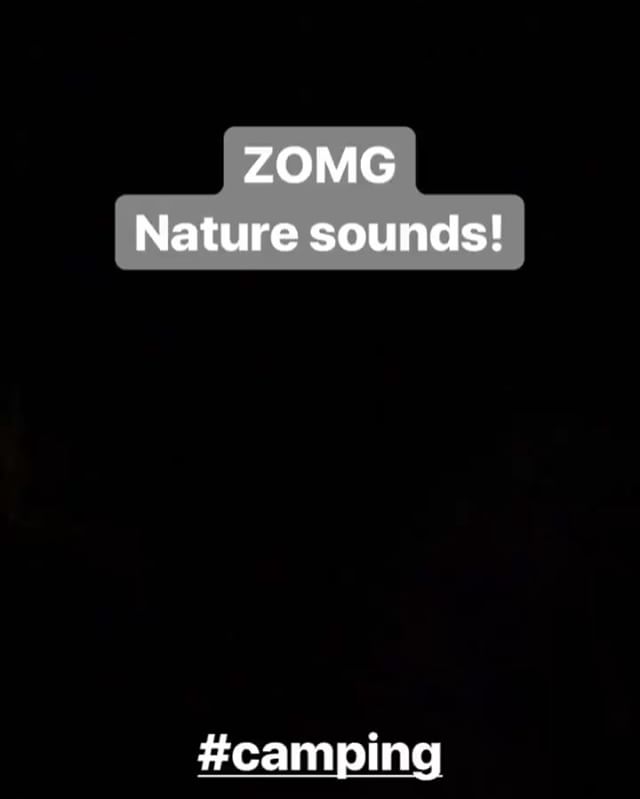 This did NOT sound like what Alexa played when I tested my cot tent (indoors).  This was from the first night at #ThisDirtLife MTB retreat. Talking toads at 10pm... Go to sleep, nature! Lol #campingNewbie [instagram]