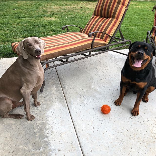 We’re going to Petco! Boys: YAY!Just kidding. Kingston: Mothaf— [instagram]