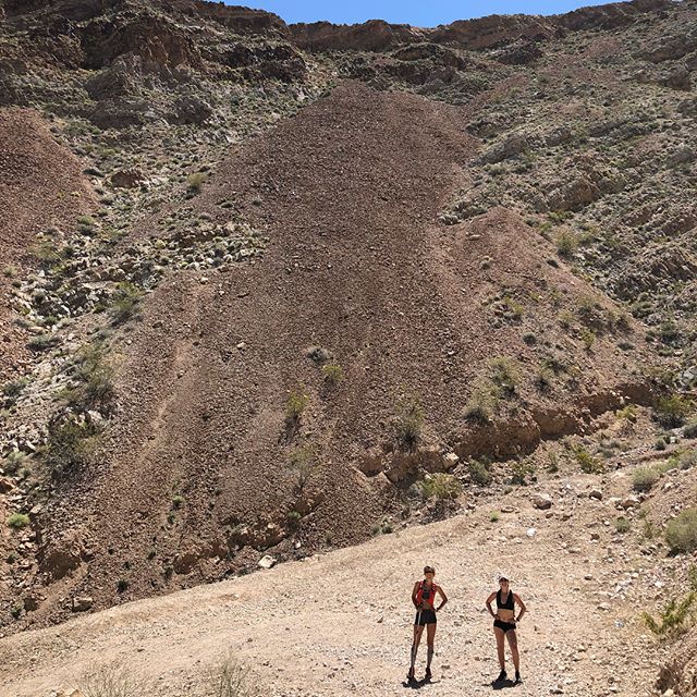 Recovery hike with @sdegroff, Jackie & Cole the Pup at Frenchman Mountain. Got some hill and heat training in (I wore 2 layers!) 🏽 Also, recovery mimosa for recovery from the hike lol. [instagram]