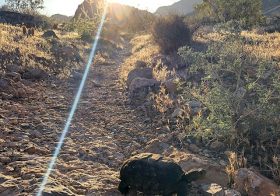 We had a special guest join us on our Monday night trail run…  It was my first ever tortoise sighting, too!  Then we went up Peak 3844 and enjoyed some lovely desert singletrack in only 97°F [instagram]