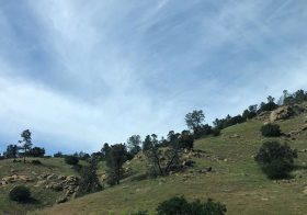 There’s some green in California again  #roadtrip #QSorBust [instagram]