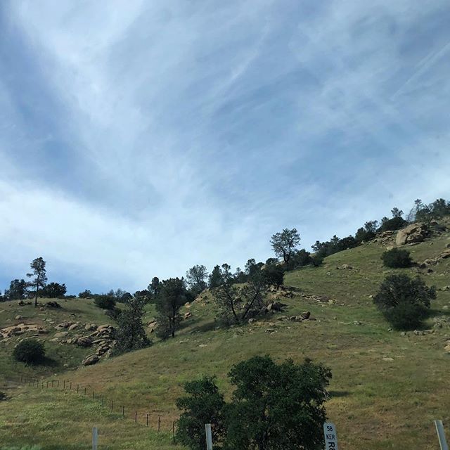 There’s some green in California again  #roadtrip #QSorBust [instagram]
