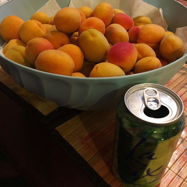 These count as organic apricots, right? i.e., from mum’s backyard tree.  La Croix can for scale. If you’re in town, LMK if you want any. #organicfruit #lasvegaslocals [instagram]