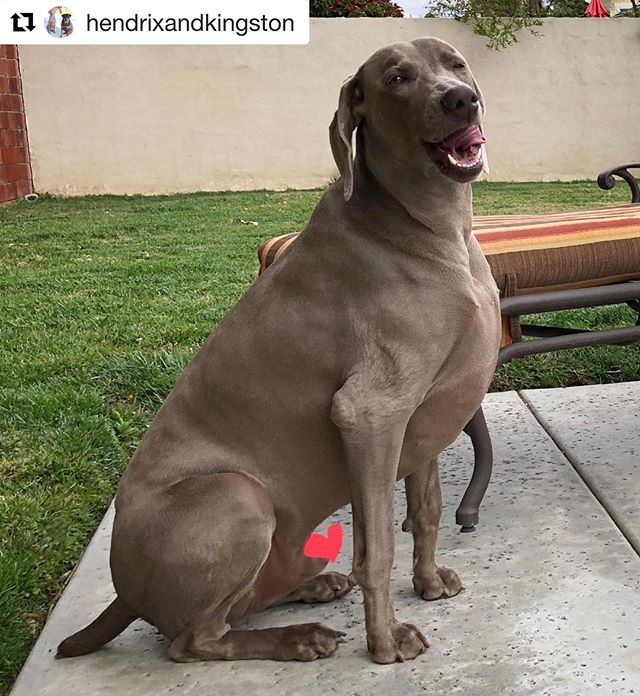 When you’re excited for the weekend... Well, not THAT excited #friyayvibes [instagram]